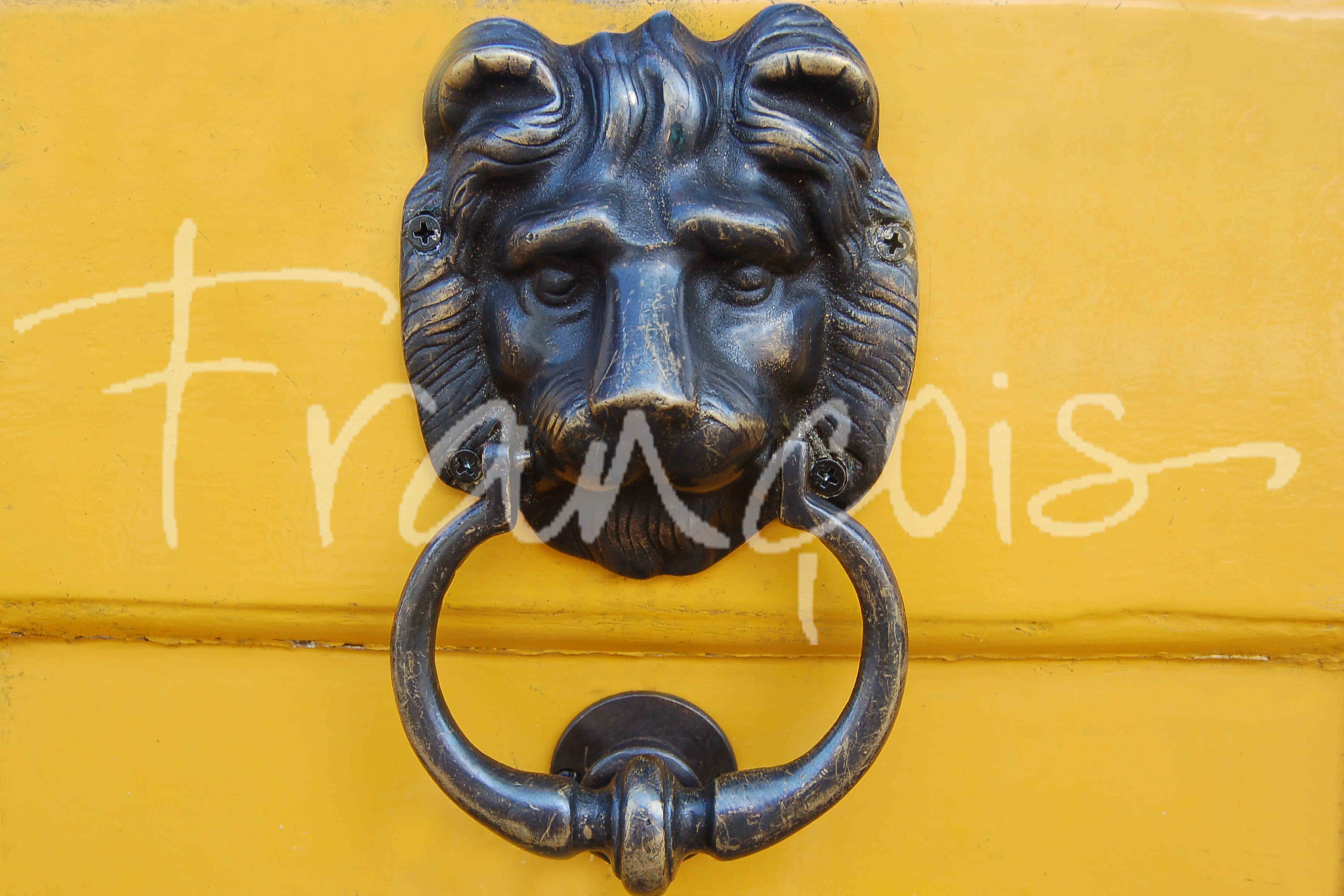 2009 05 03 (4) Paraty 30-40cm.jpg