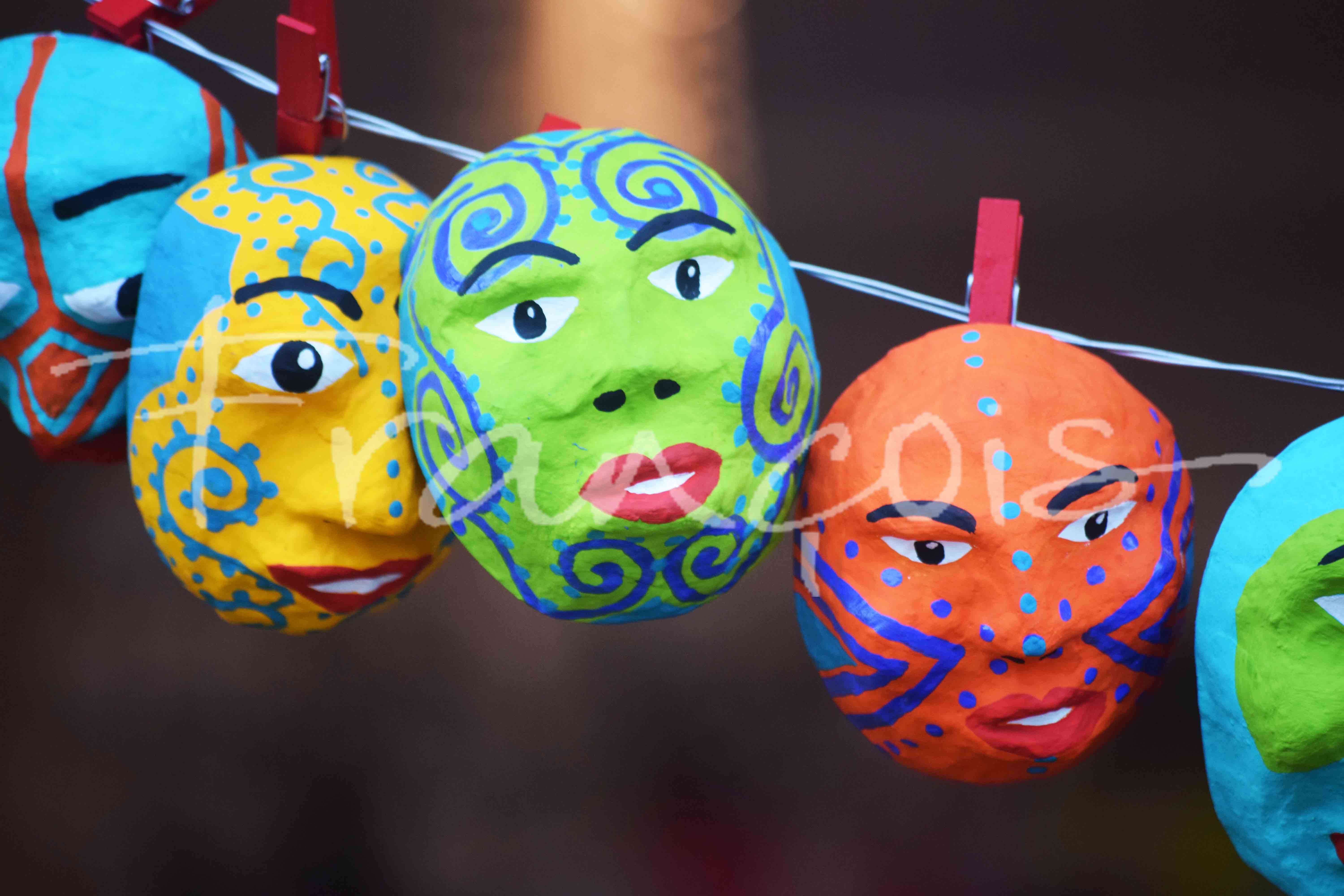 2016 02 08 (101) Paraty avec Lapp 30-40cm.jpg